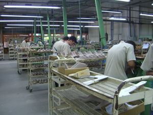 愛瑪與巴西著名鞋楦廠深入交流，共探制鞋技術(shù)新高度